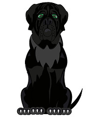 Image showing Vector illustration of the cartoon of the black dog mastiff