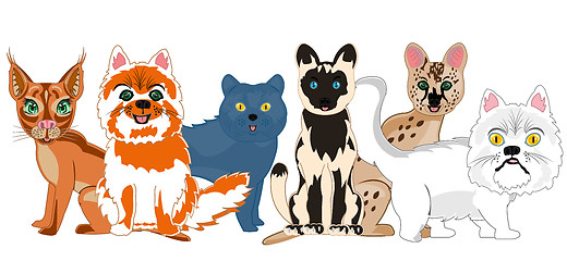 Image showing Vector illustration of the cartoon pets sorts cat