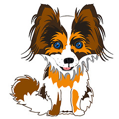 Image showing Dog papillon on white background is insulated