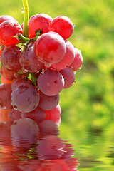 Image showing Red grapes