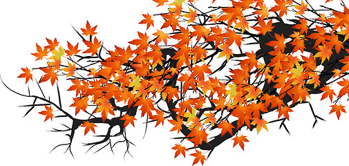 Image showing autumn leaves 