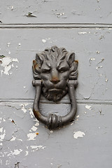 Image showing Ancient italian lion shaped door knocker on wooden grey door.