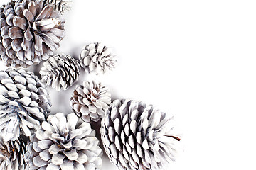 Image showing White decorative pine cones closeup on a white background.