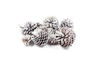 Image showing Decorative pine cones closeup on a white background.