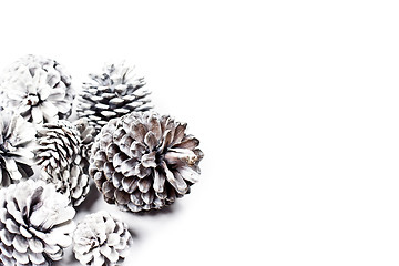 Image showing White decorative pine cones closeup on a white background.
