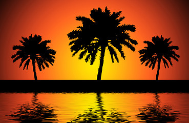 Image showing Sunset trees