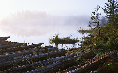 Image showing Morning Fog On A Swampy Forest Lake