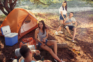 Image showing Party, camping of men and women group at forest. They relaxing