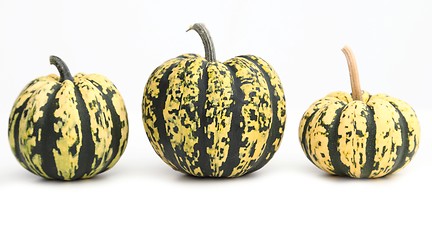 Image showing Pumpkins.