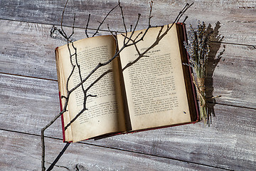 Image showing Book And Autumn Leaves