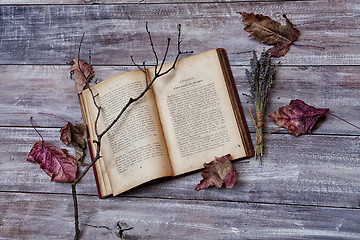 Image showing Book And Autumn Leaves