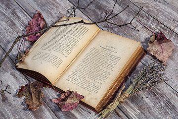 Image showing Book And Autumn Leaves