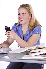 Image showing Businesswoman at His Desk Working