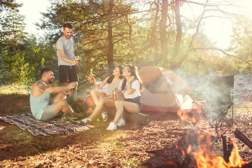 Image showing Party, camping of men and women group at forest. They relaxing