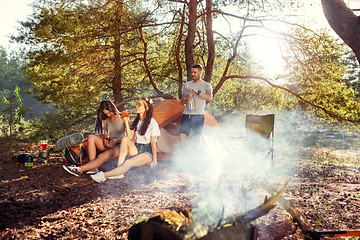 Image showing Party, camping of men and women group at forest. They relaxing