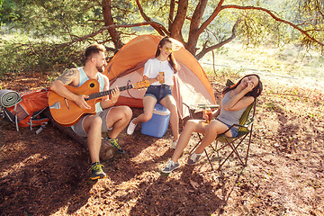 Image showing Party, camping of men and women group at forest. They relaxing, singing a song