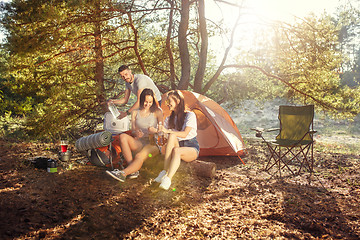 Image showing Party, camping of men and women group at forest. They relaxing