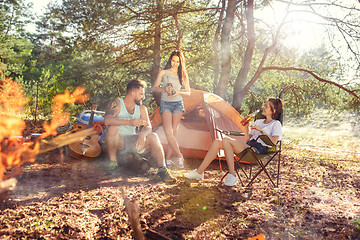 Image showing Party, camping of men and women group at forest. They relaxing