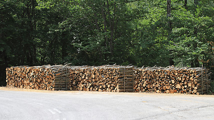 Image showing Logging