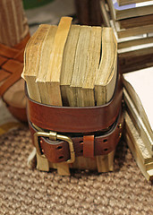 Image showing Books in Belt