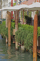 Image showing Venice Wooden Pillars