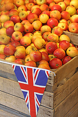 Image showing British Apples