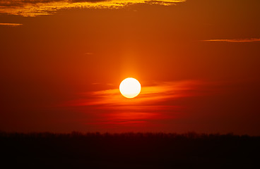 Image showing Sunset over Forest