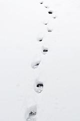 Image showing Footprints in snow