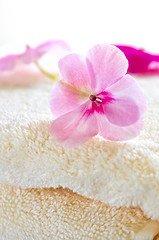 Image showing Gentle flower on luxury towel