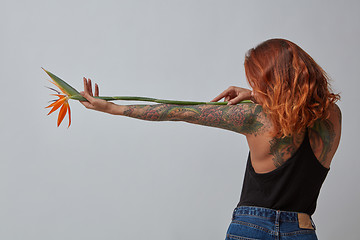 Image showing View from the back of a girl with a tattoo with an orange flower strelitzia on a gray background with copy space for text.