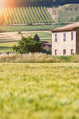 Image showing landscape mood in Italy Marche