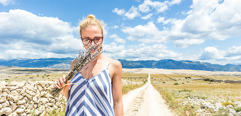 Image showing Woman in summer dress holding and smelling bouquet of lavender flowers while walking outdoor through dry rocky Mediterranean Croatian coast lanscape on Pag island in summertime