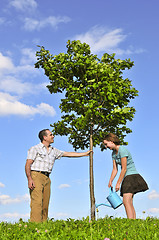 Image showing Planting a tree