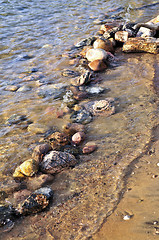 Image showing Rocks in water