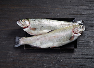 Image showing fresh raw fishes