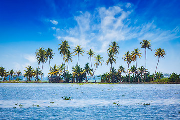 Image showing Kerala backwaters