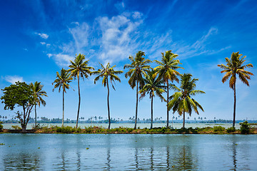 Image showing Kerala backwaters