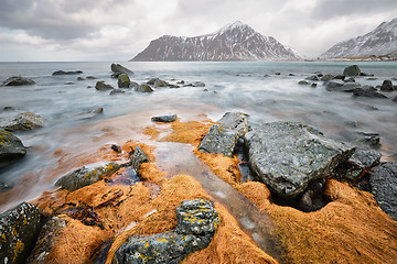 Image showing Rocky coast of fjord in Norway