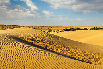 Image showing Dunes of Thar Desert, Rajasthan, India