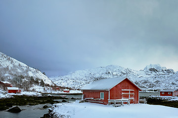 Image showing Red rorbu house in winter, Lofoten islands, Norway