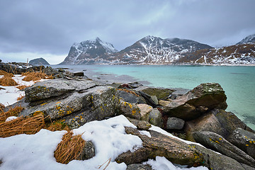 Image showing Rocky coast of fjord in Norway