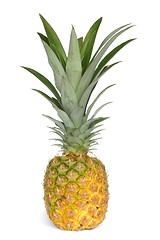 Image showing Pineapple