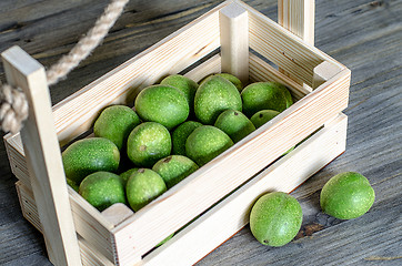 Image showing Young green fruits of walnuts in a green shell in a wooden box.
