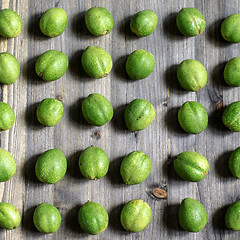 Image showing Young green fruits of walnuts lie in rows on a gray wooden background.