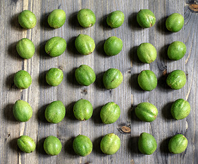 Image showing Young green fruits of walnuts lie in rows on a gray wooden background.