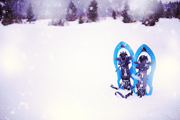 Image showing Blue snowshoes in fresh show