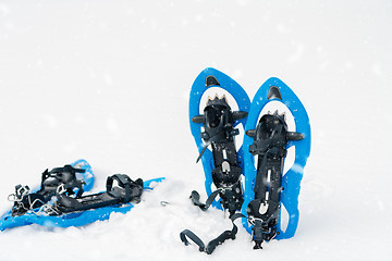 Image showing Blue snowshoes in fresh show