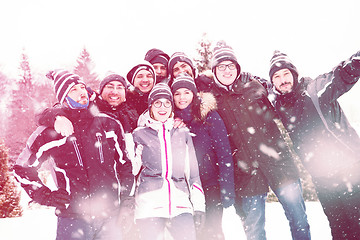 Image showing portrait of group young people in beautiful winter landscape