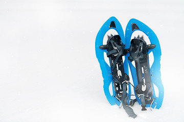 Image showing Blue snowshoes in fresh show