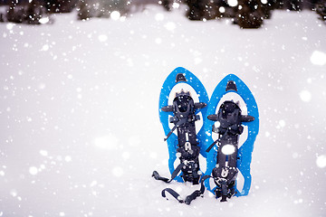 Image showing Blue snowshoes in fresh show